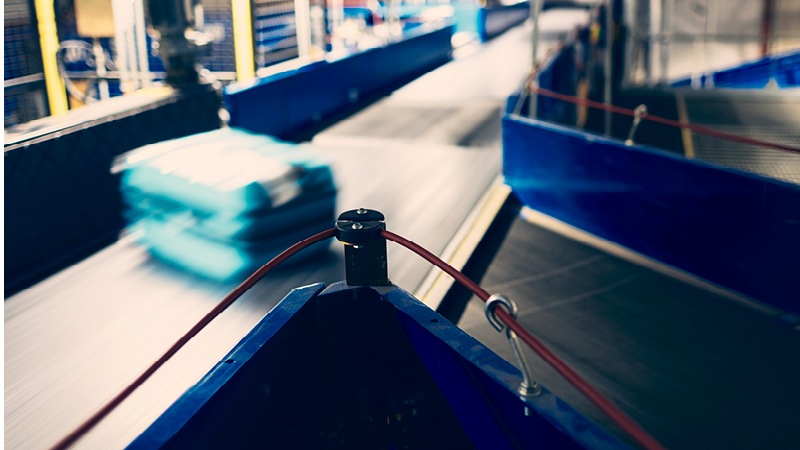 Through the Lens of a Baggage Handling System Sales Application Engineer